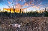 Marsh At Sunrise_31170-2
